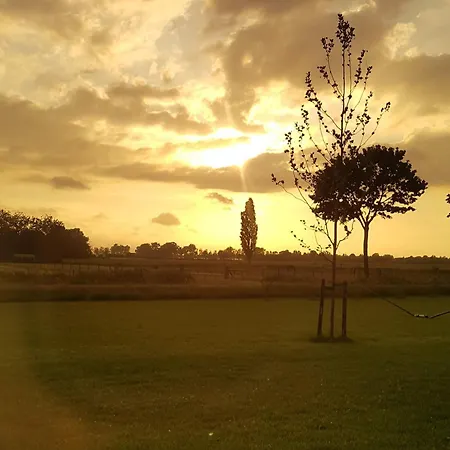 't Nieuwe Nest Σαλέ *