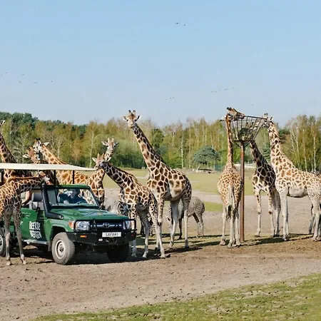 't Nieuwe Nest Σαλέ *