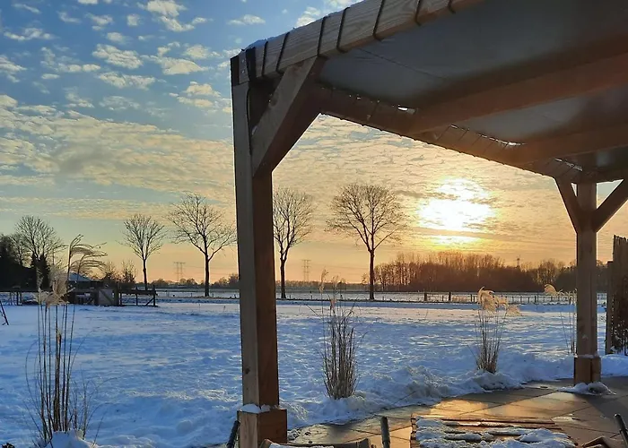 't Nieuwe Nest Chalet Kaatsheuvel