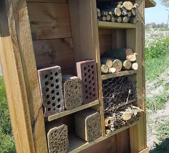 't Nieuwe Nest Σαλέ