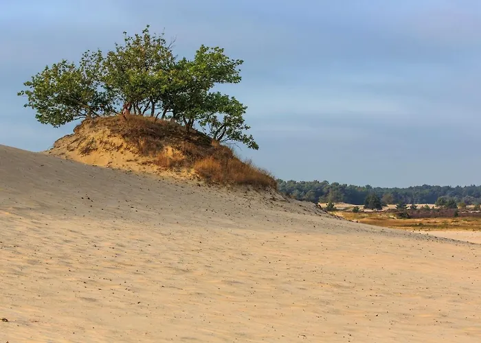 't Nieuwe Nest Σαλέ *