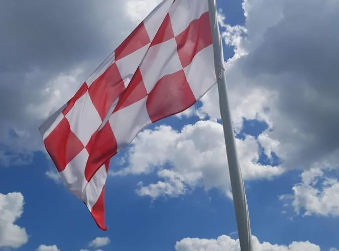 't Nieuwe Nest * 卡茨休维尔