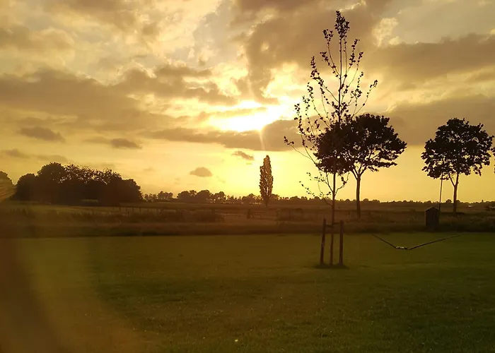 't Nieuwe Nest 木屋 *