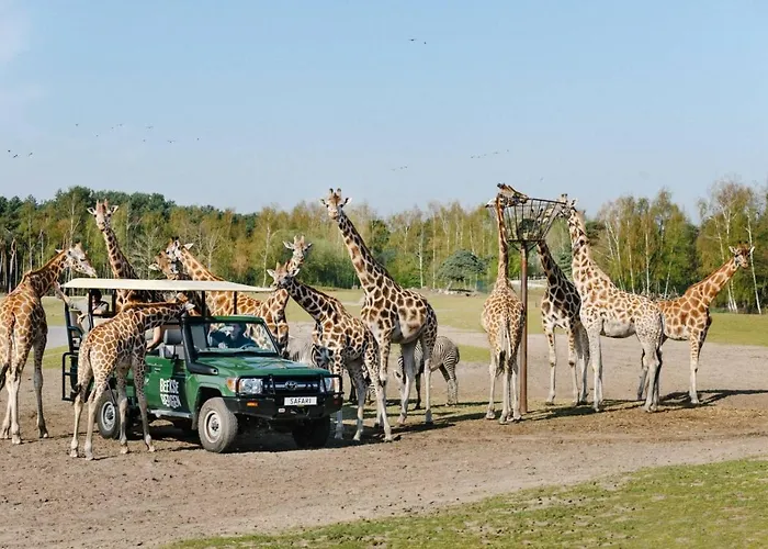 't Nieuwe Nest 木屋 *